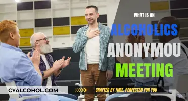 Exploring Sobriety: Inside an Alcoholics Anonymous Meeting