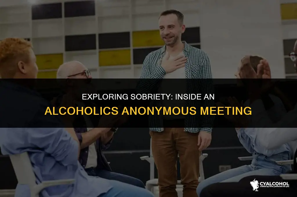 what is an alcoholics anonymous meeting