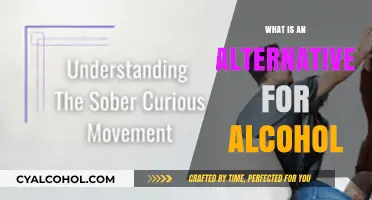Exploring Sobriety: Discovering Alternatives to Alcohol for a Healthier Lifestyle
