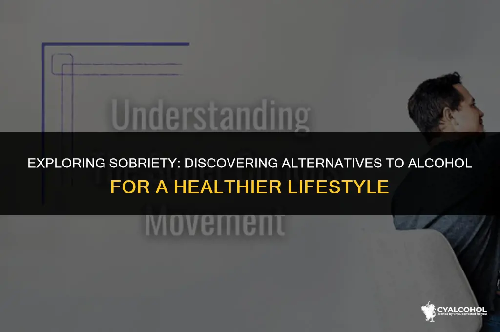 what is an alternative for alcohol