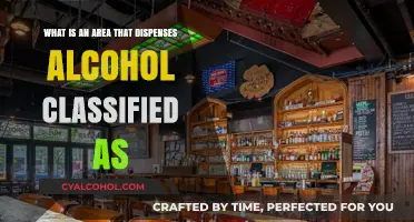 Alcohol-Serving Venues: Understanding Their Classification
