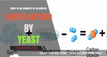 Yeast's Alcoholic Fermentation: Process and Applications