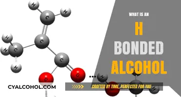 Exploring the Unique Properties of H-Bonded Alcohols