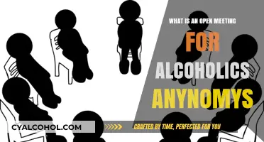 Understanding Open Meetings: Alcoholics Anonymous Support for Everyone