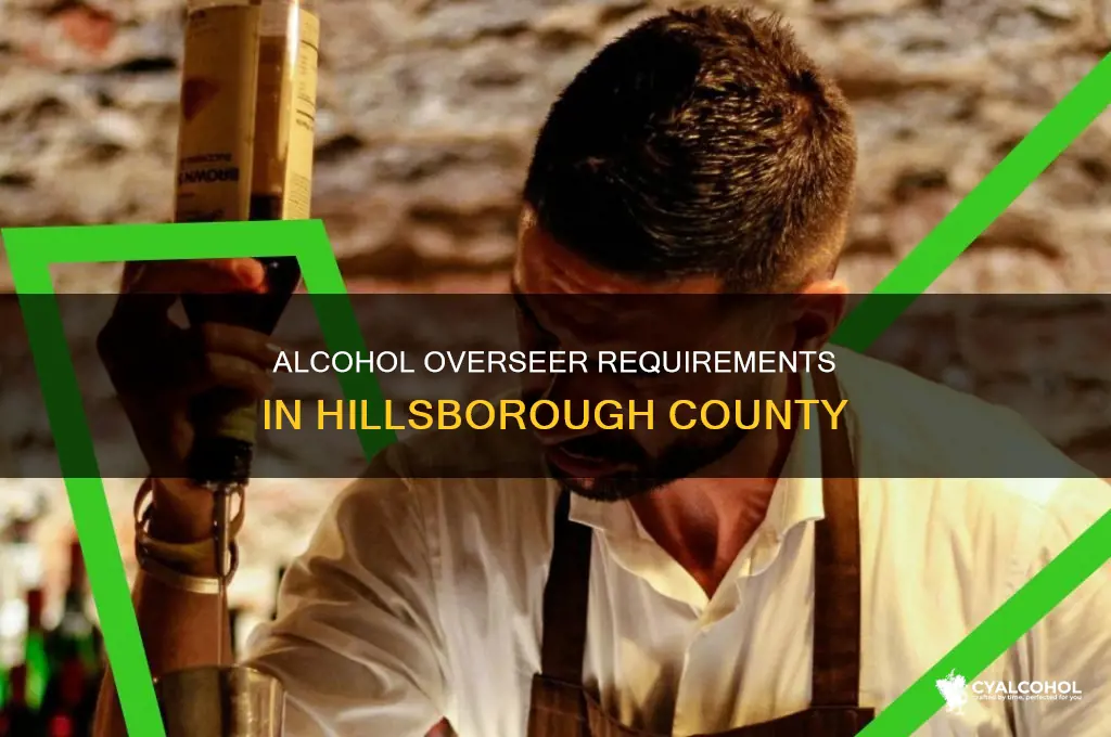 what is an overseer alcohol requirement in hillsbrough county