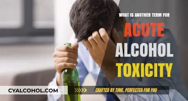 Understanding Acute Alcohol Toxicity: Alternative Terms and Key Insights