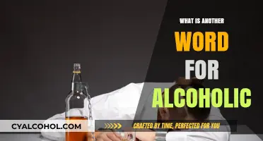 Exploring Synonyms: What's Another Term for 'Alcoholic'?