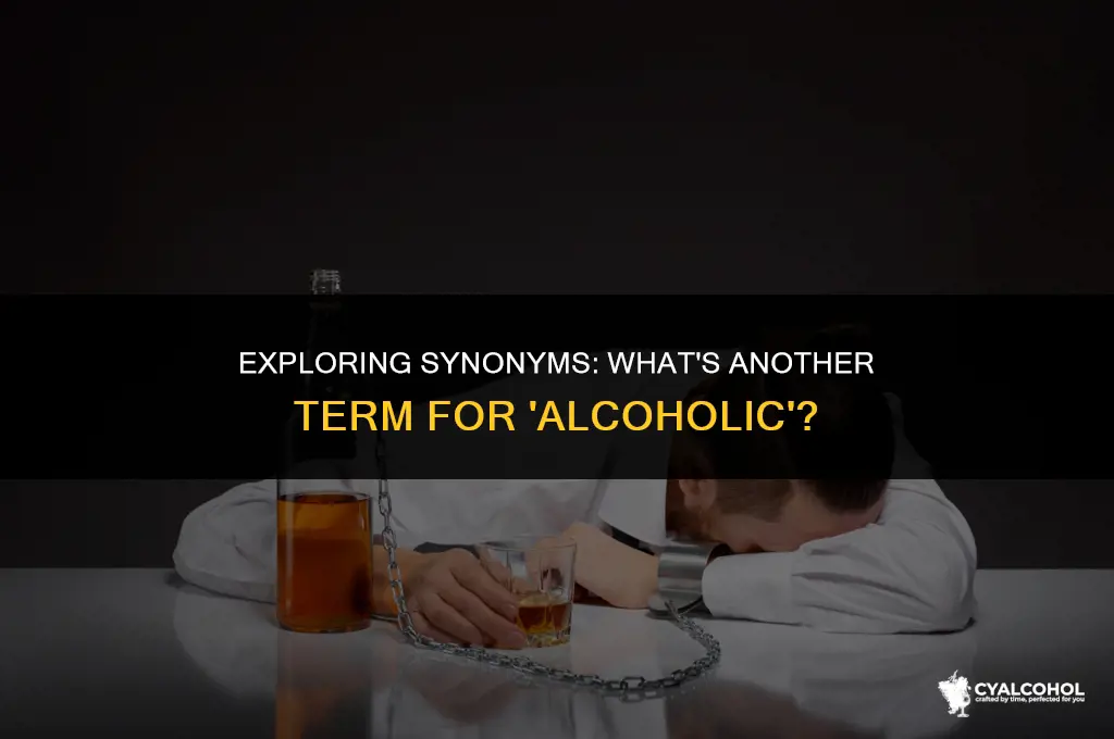 what is another word for alcoholic