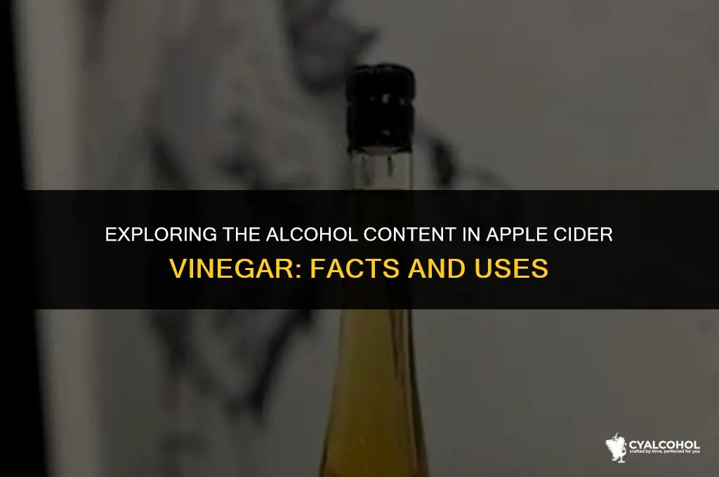 what is apple cider vinegar alcohol