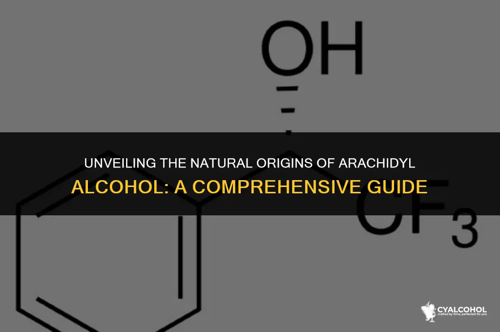 what is arachidyl alcohol made of