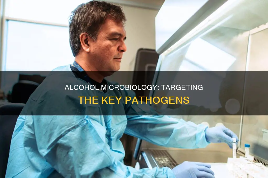 what is are the major targets of alcohols microbiology