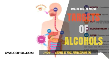 Understanding Alcohols: Key Targets and Their Biological Impact Explained