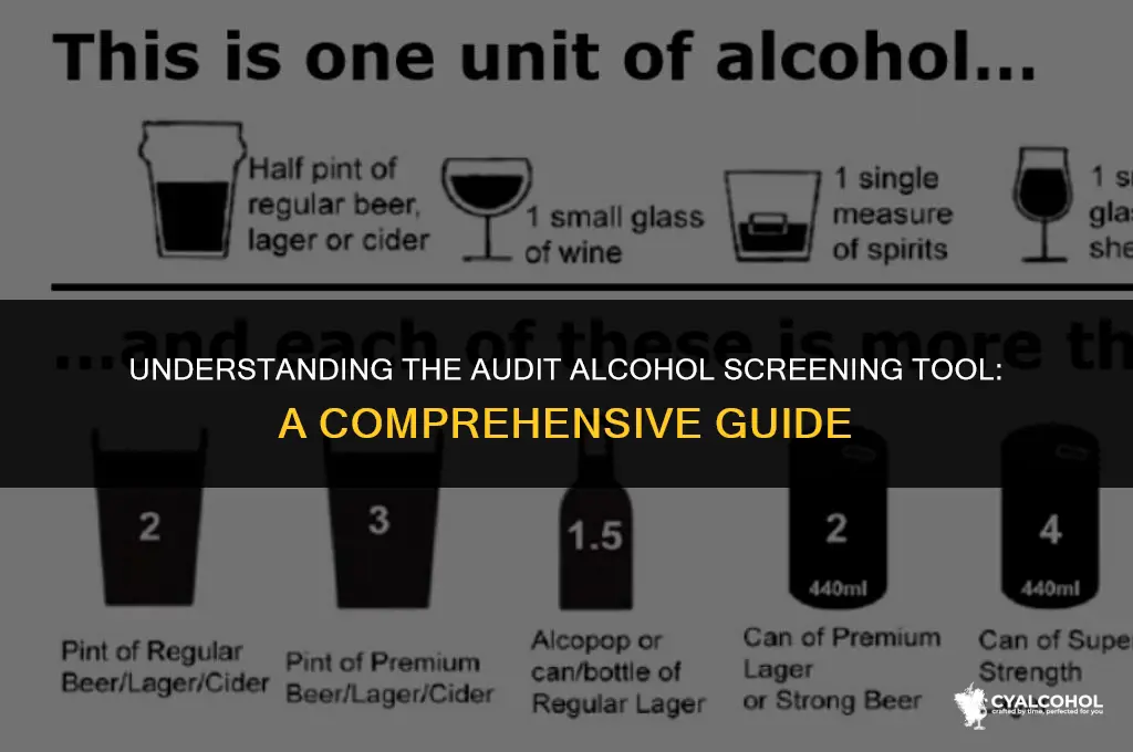 what is audit alcohol screening tool