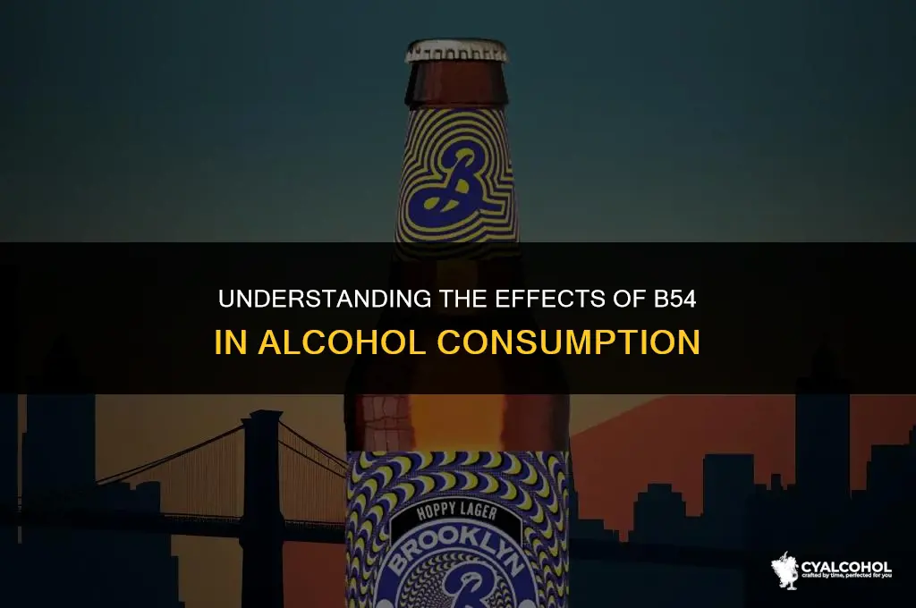 what is b 54 in alcohol