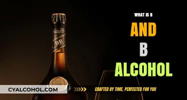 Exploring the Effects and Risks of B and B Alcohol Consumption