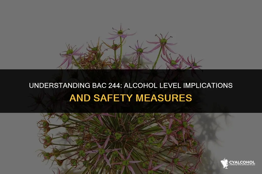 what is bac 244 alcohol level