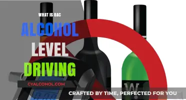 Understanding BAC Levels: A Guide to Safe Driving Practices
