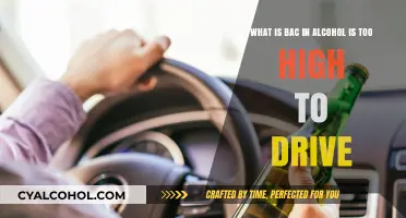 How Much Alcohol is Too Much to Drive?