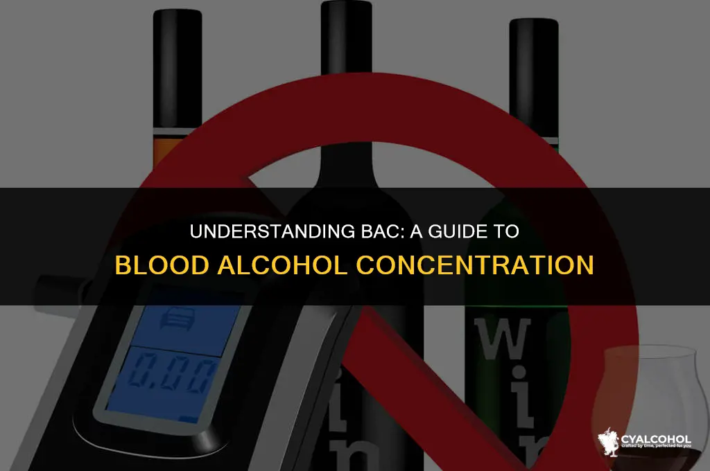 what is bac in alcohol terms