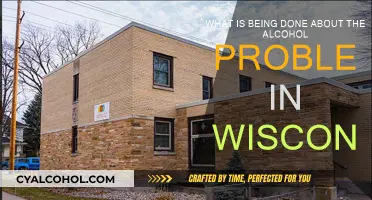 Battling Alcohol Abuse: Wisconsin's Initiatives