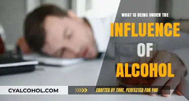 Understanding Alcohol's Impact: What Does Being Under the Influence Mean?