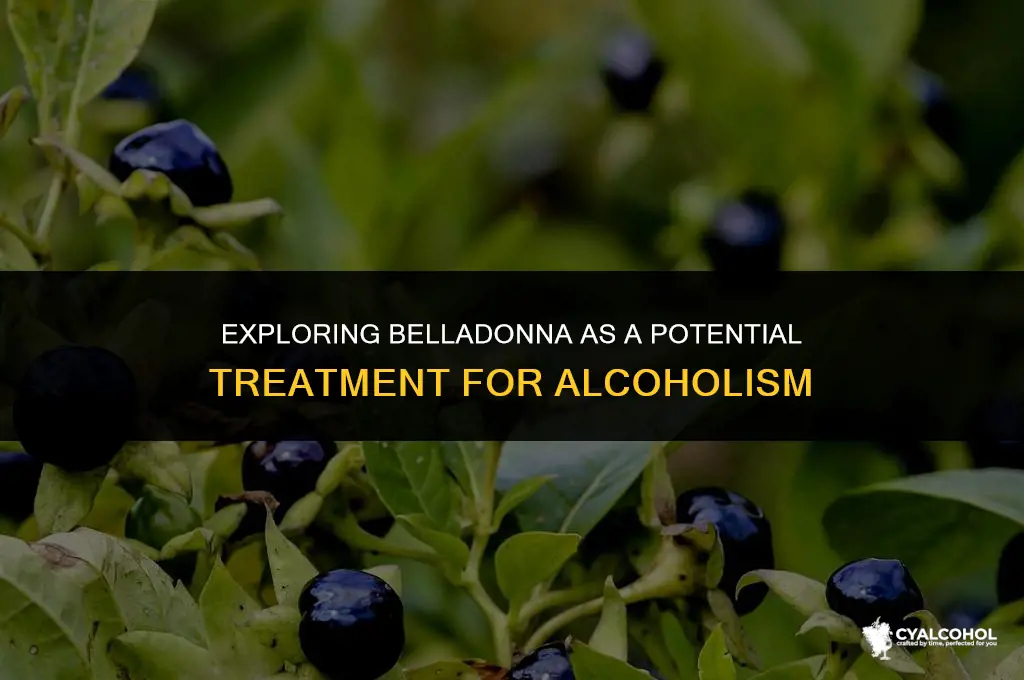 what is belladonna treatment for alcoholism