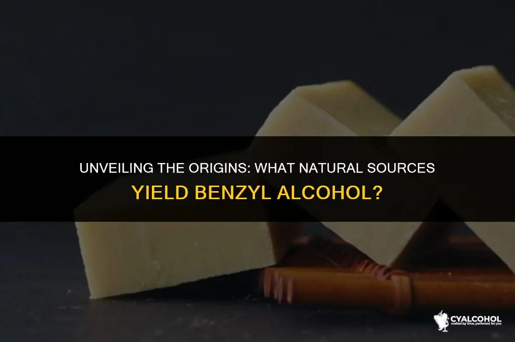 what is benzyl alcohol derived from