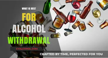 Navigating Alcohol Withdrawal: A Guide to the Best Strategies