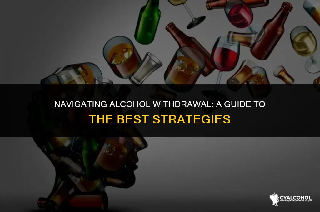 what is best for alcohol withdrawal