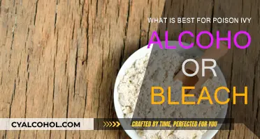 Alcohol or Bleach: Which Poison Ivy Remedy Wins?