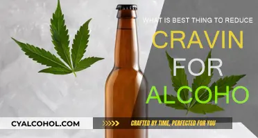 Strategies to Curb Alcohol Cravings