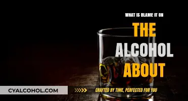 Blame It on the Alcohol: Unraveling the Meaning Behind the Phrase