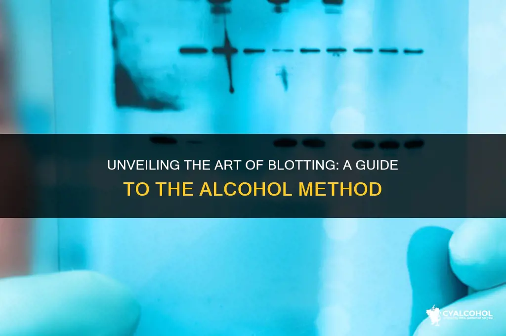 what is blotting with alcohol method