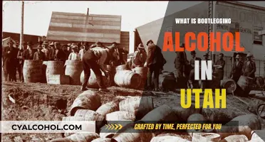 Utah's Bootlegging Chronicles: A Historical Look at Illegal Alcohol Distribution