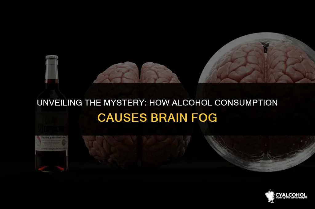what is brain fog from alcohol