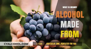 From Grapes to Glass: The Art of Brandy Making Explained