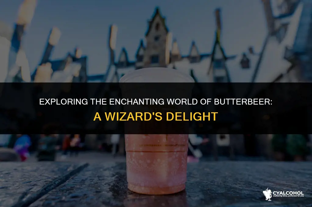 what is butterbeer alcoholic wizard world