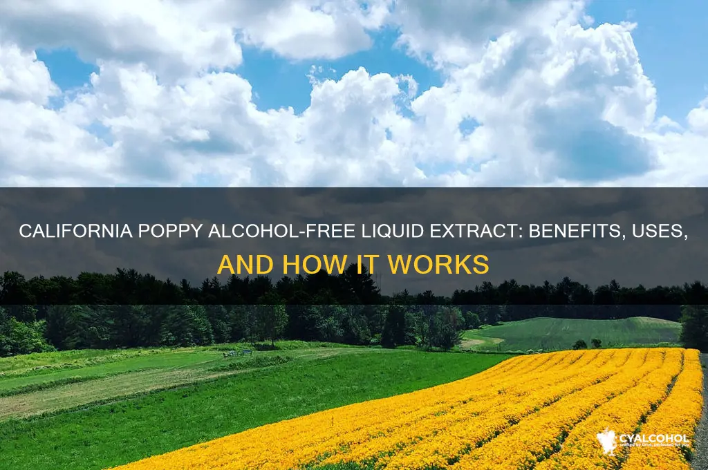 what is california poppy alcohol-free liquid extract