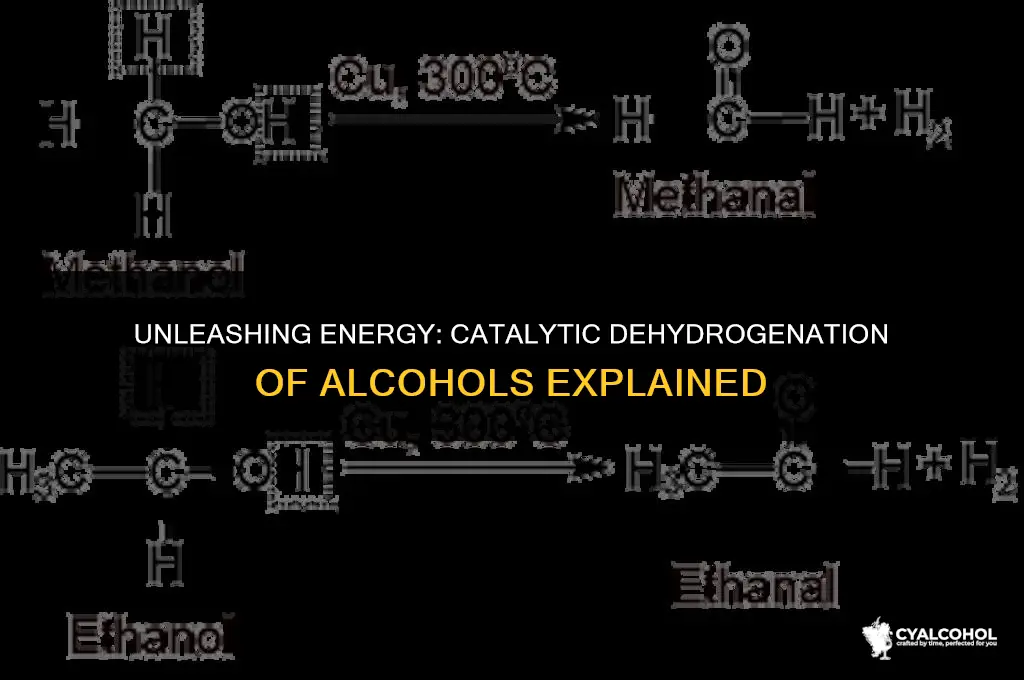what is catalytic dehydrogenation of alcohols
