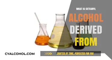 Unveiling the Origins: What is Ceteryl Alcohol Derived From?