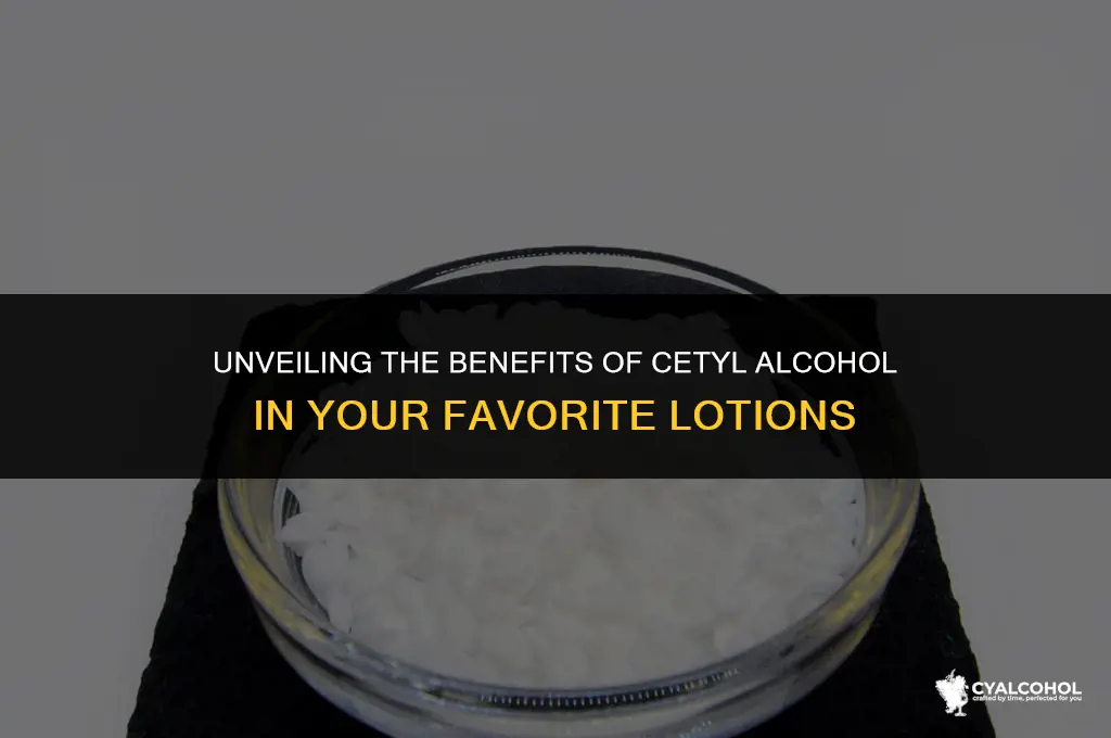 what is cetyl alcohol in lotion