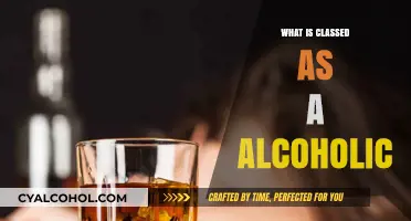 Understanding Alcoholism: What Qualifies Someone as an Alcoholic?