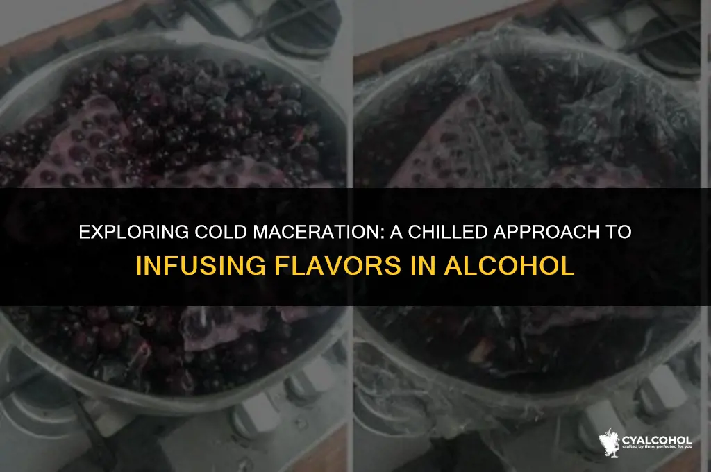 what is cold maceration in alcohol