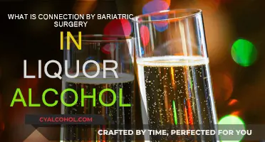 Bariatric Surgery: Alcohol Absorption and Addiction Connection