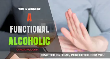Understanding Functional Alcoholism: Signs, Risks, and Seeking Help