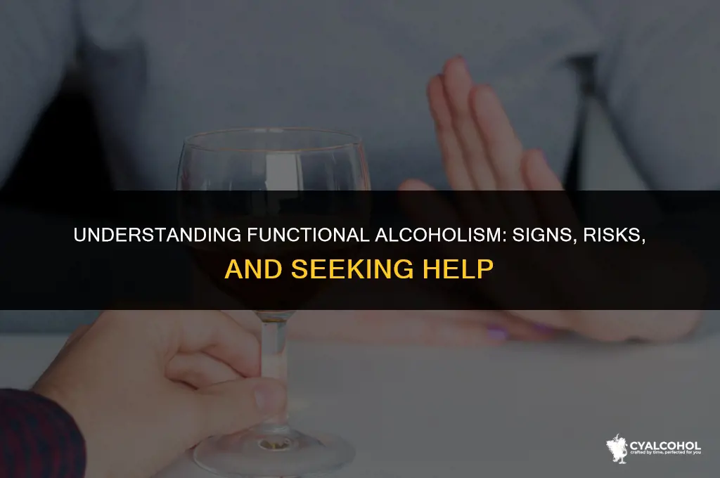 what is considered a functional alcoholic