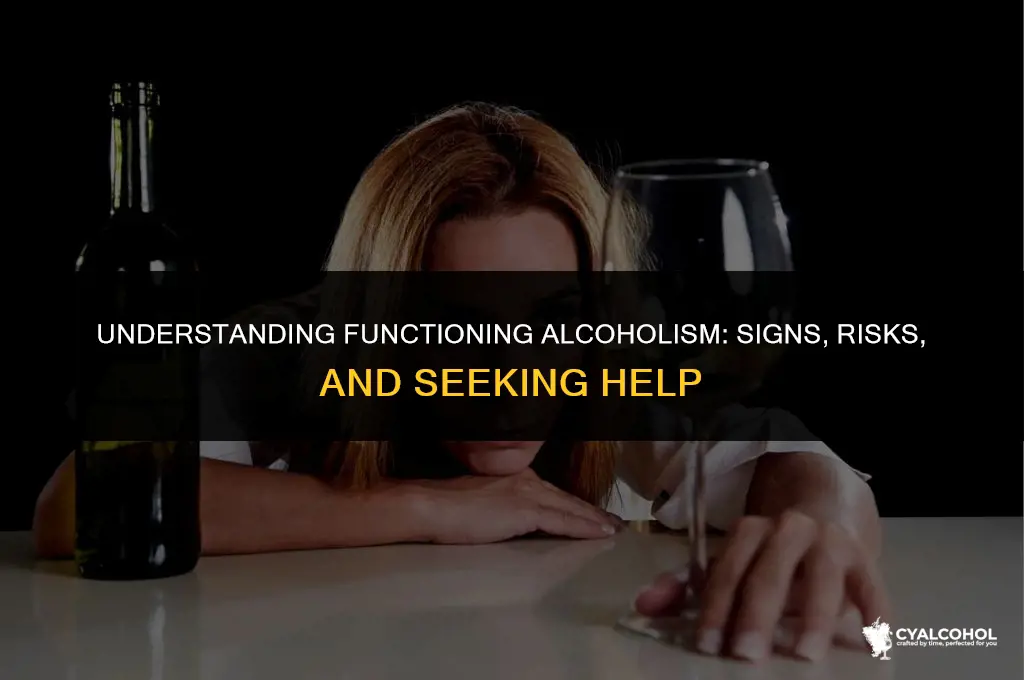 what is considered a functioning alcoholic