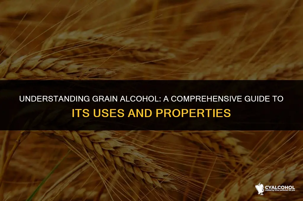 what is considered a grain alcohol