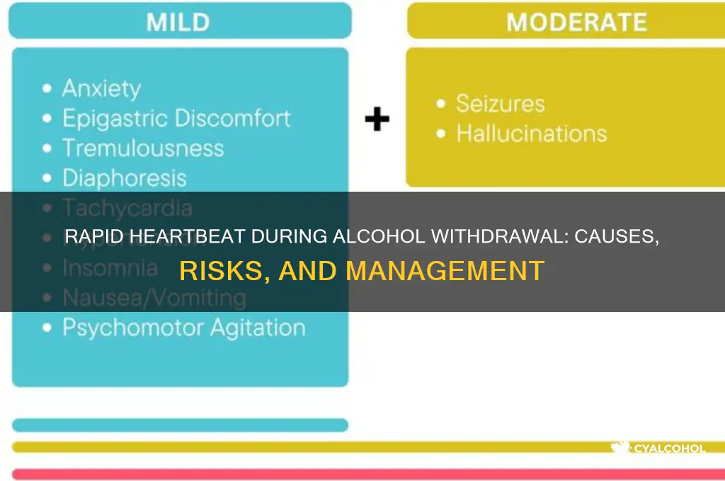 what is considered a rapid heartbeat alcohol withdrawal