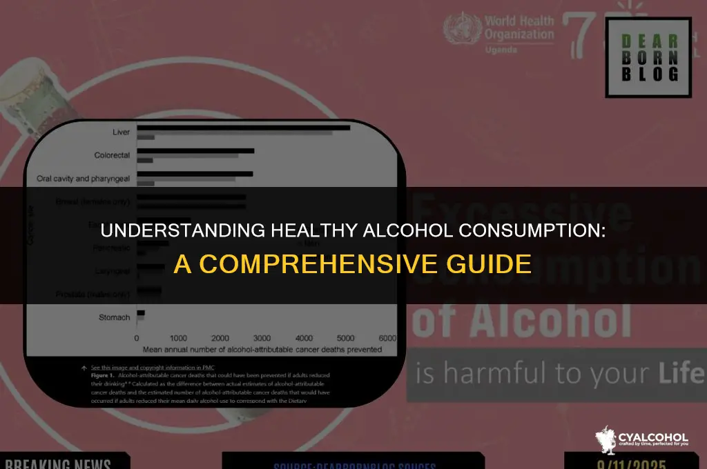 what is considered healthy alcohol consumption